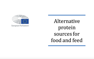 La UE estudia fuentes proteicas alternativas para alimentos y piensos